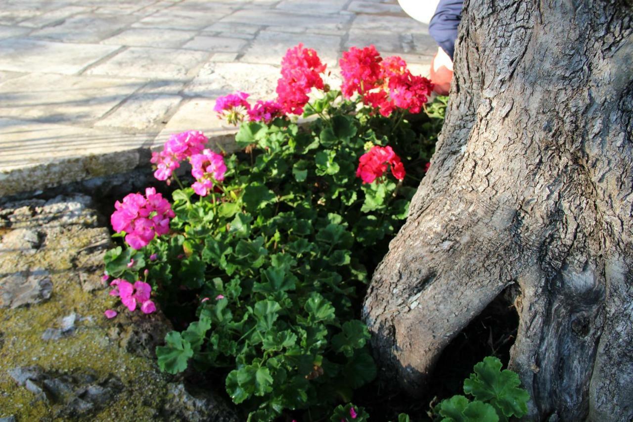 Stone Rose Villa Agios Ioannis  Bagian luar foto