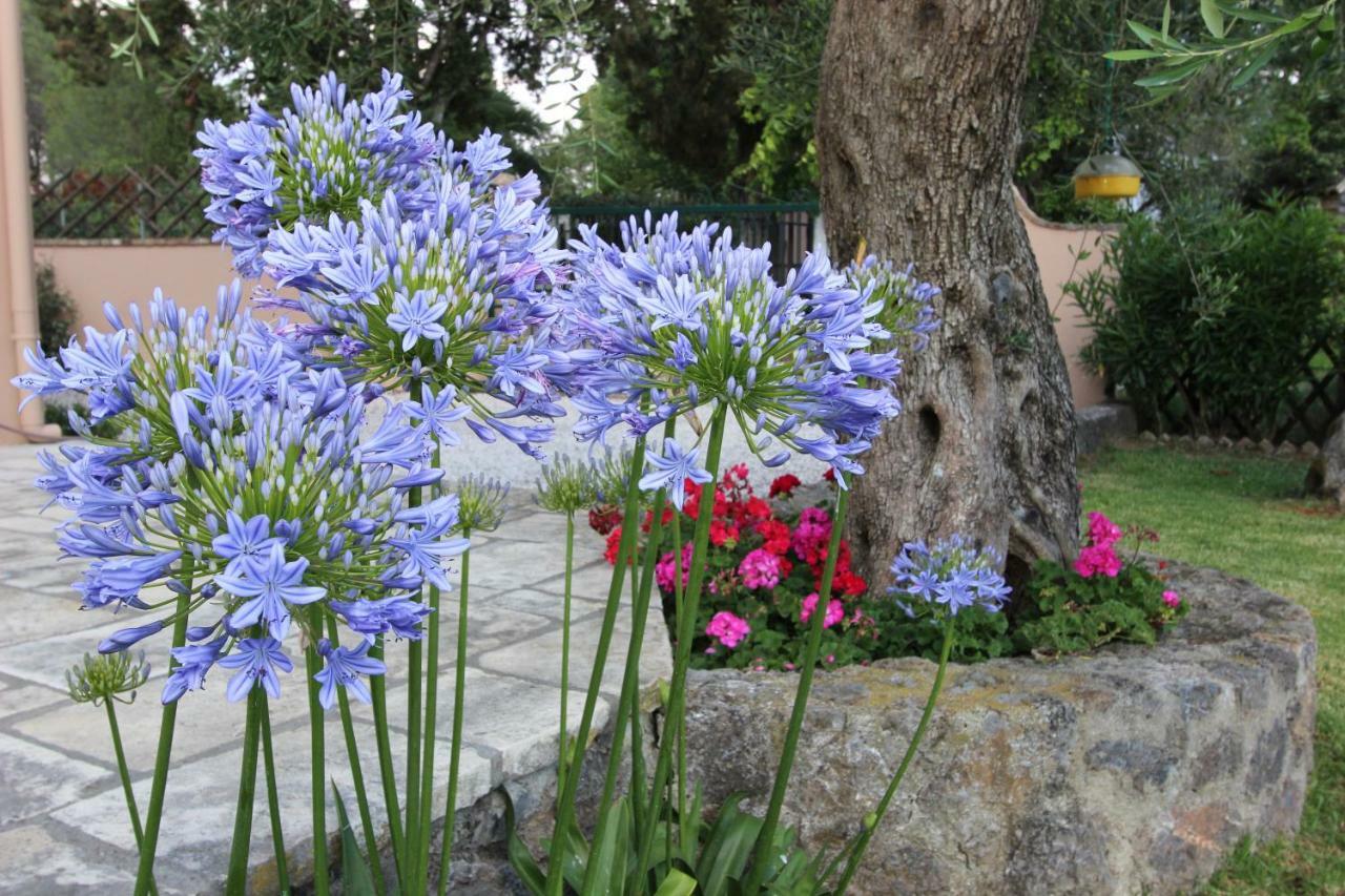 Stone Rose Villa Agios Ioannis  Bagian luar foto